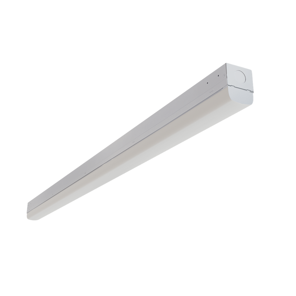 [R33023] RENO-LSN8-DV-MW-MCCT-ECO