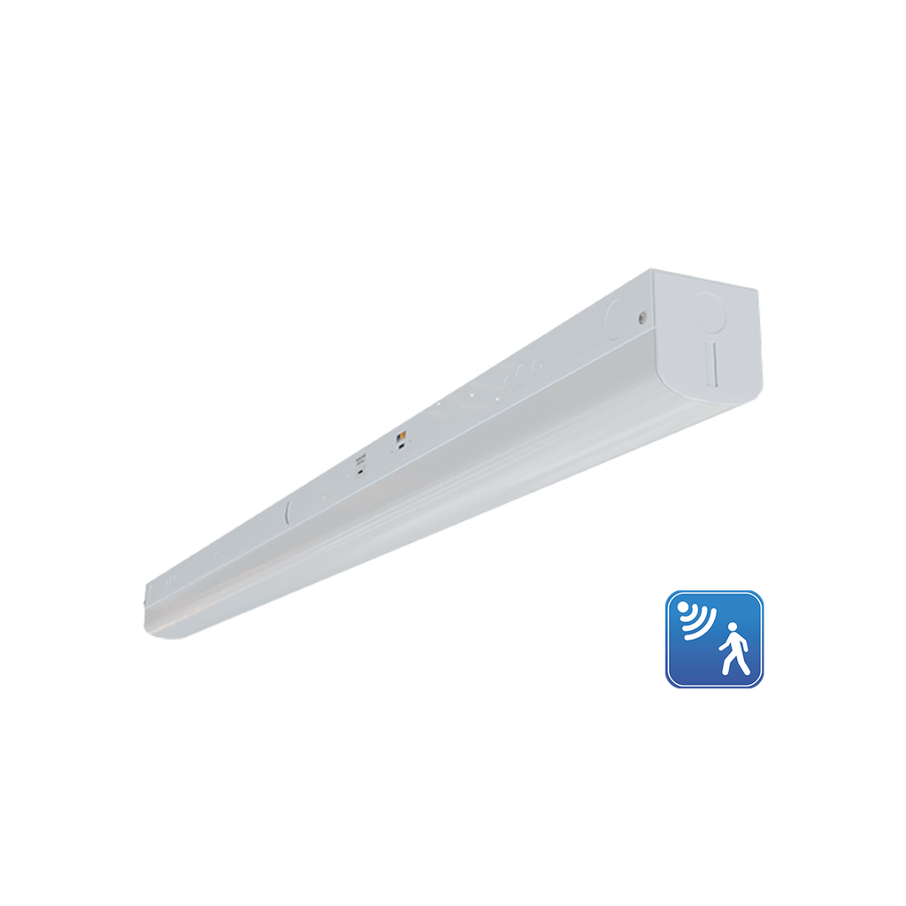 [R33033] RENO-LSN8-DV-MW-MCCT-HL-MS 